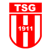 TSG Fu&szlig;ball Herdecke